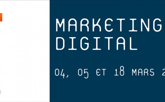 Digital Marketing executive