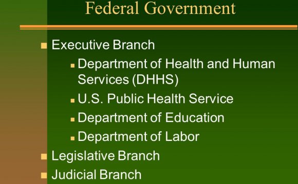 Federal Government n Executive