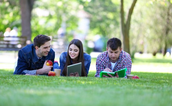 Bachelors in Economics