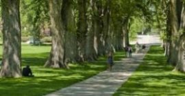 Colorado State University