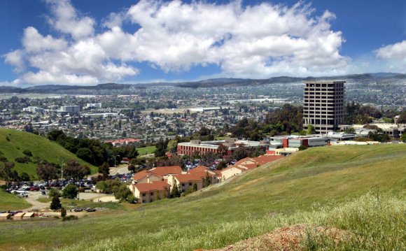 Online Bachelors Degree in Business Management