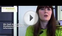 International Business and Management Studies - The Hague UAS