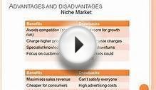 Marketing - Business Studies - Unit 2 - Edexcel - Alevel